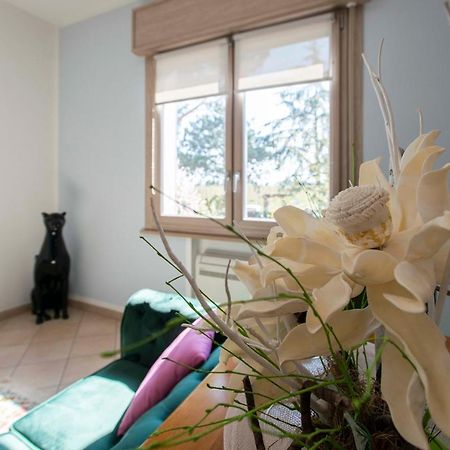Eco Dolce Casetta B&B Faenza Exterior photo